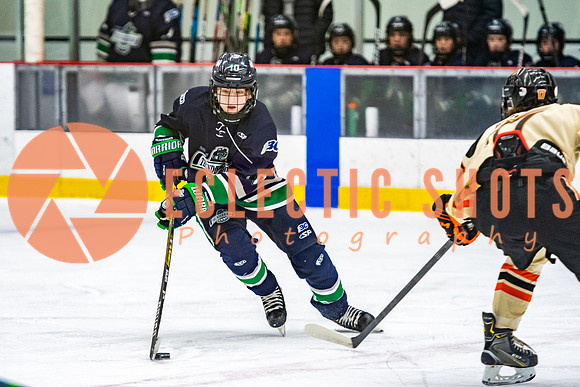RMC2021-11-12-LloydBobcats-FVT-Birds-5979