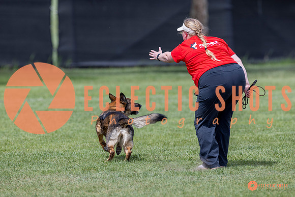 2025-K9Force-MayExams-7331