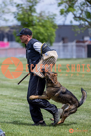 2025-K9Force-MayExams-6425