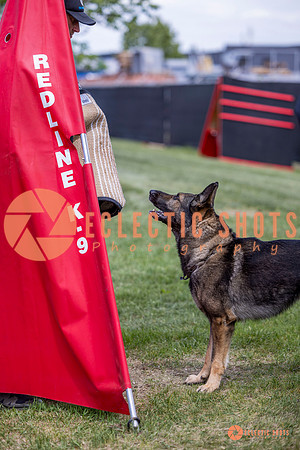 2025-K9Force-MayExams-6869