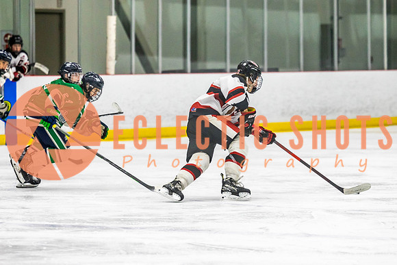 2022.11.11CalBisons-FVTBirds-4051