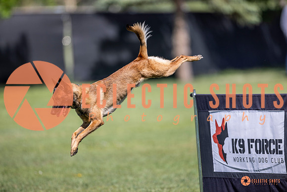 2025-K9Force-MayExams-8219