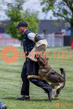 2025-K9Force-MayExams-6424