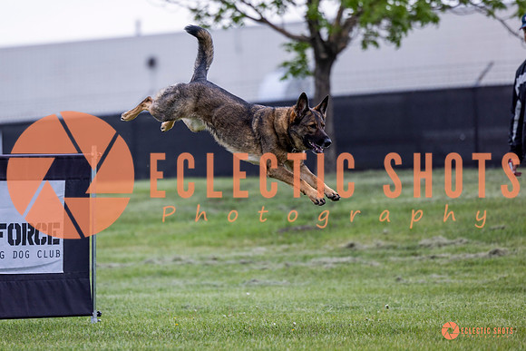 2025-K9Force-MayExams-5434