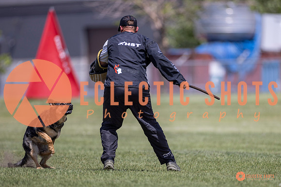 2025-K9Force-MayExams-8085