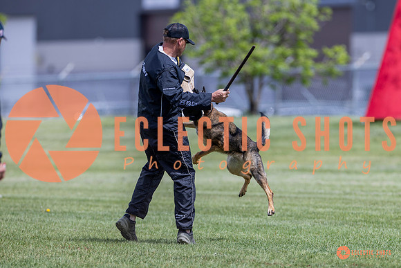 2025-K9Force-MayExams-7346