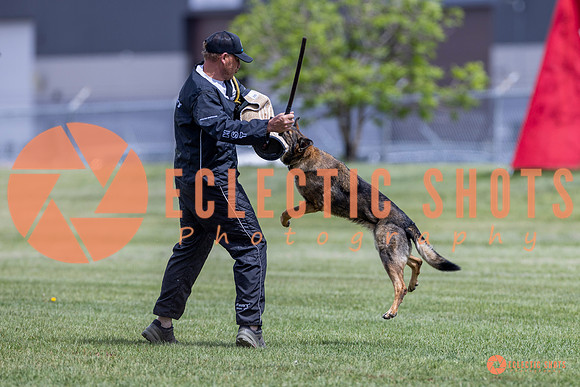2025-K9Force-MayExams-7348