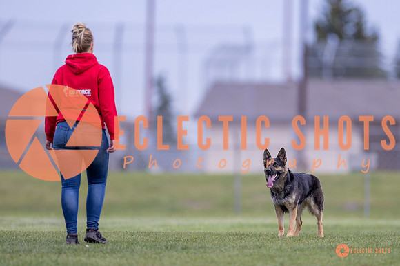2025-K9Force-MayExams-6319