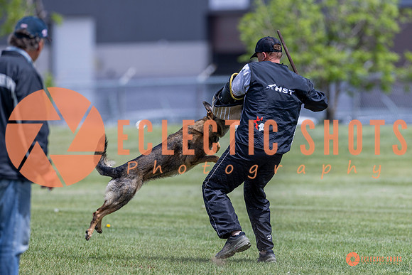 2025-K9Force-MayExams-7337