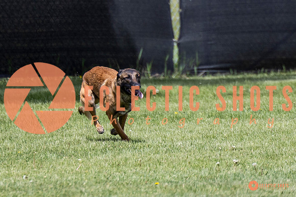 2025-K9Force-MayExams-7651