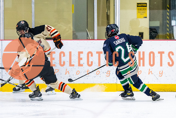 RMC2021-11-12-LloydBobcats-FVT-Birds-6019