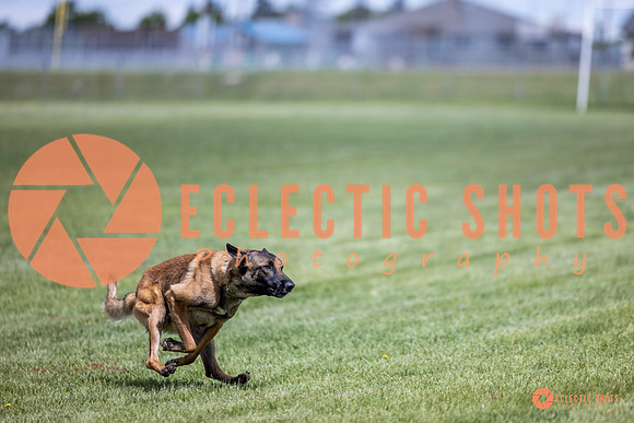 2025-K9Force-MayExams-7662