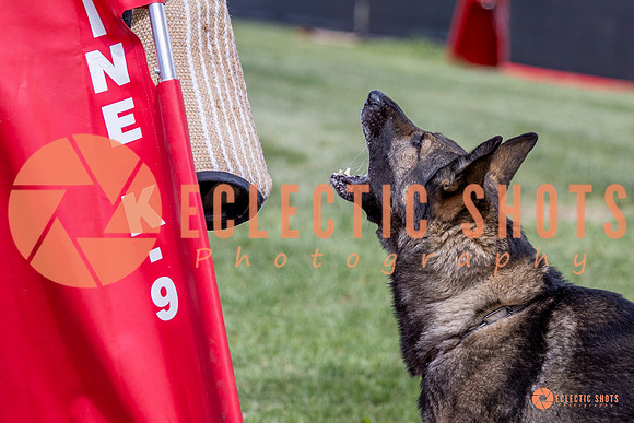 2025-K9Force-MayExams-6908
