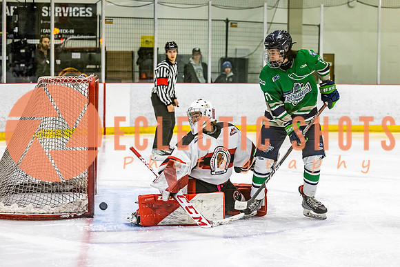 2022.11.11CalBisons-FVTBirds-4041