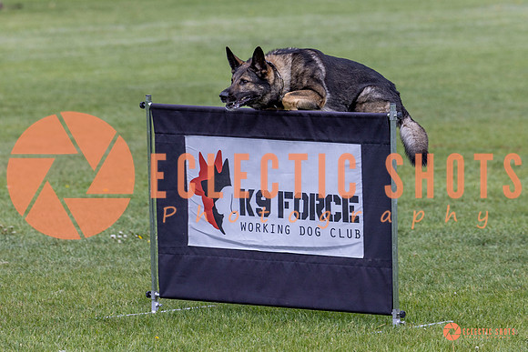 2025-K9Force-MayExams-5823