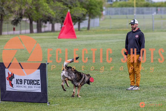 2025-K9Force-MayExams-5901