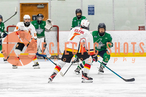 2022.11.09CalFlames-FVTBirds-0464