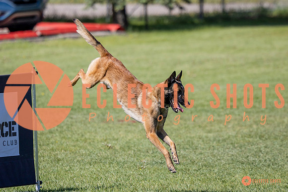 2025-K9Force-MayExams-7319