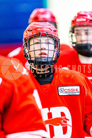 2022.11.11VWGiants-NDHounds-4224