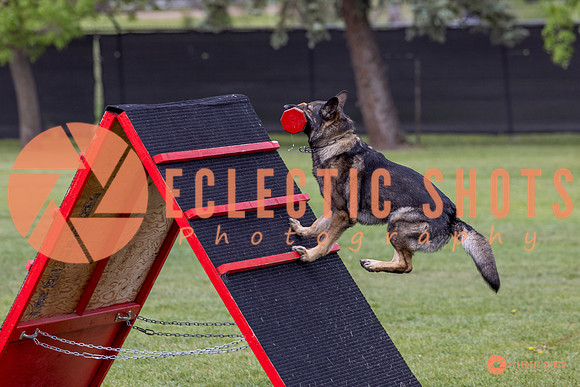 2025-K9Force-MayExams-5934