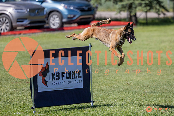 2025-K9Force-MayExams-7316