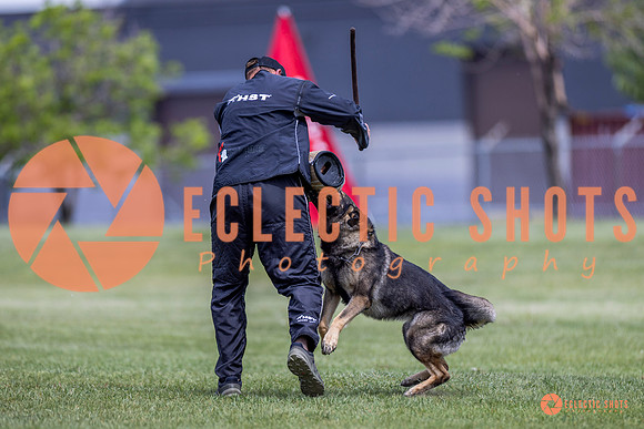 2025-K9Force-MayExams-7792