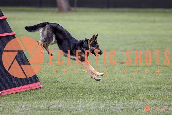 2025-K9Force-MayExams-5772