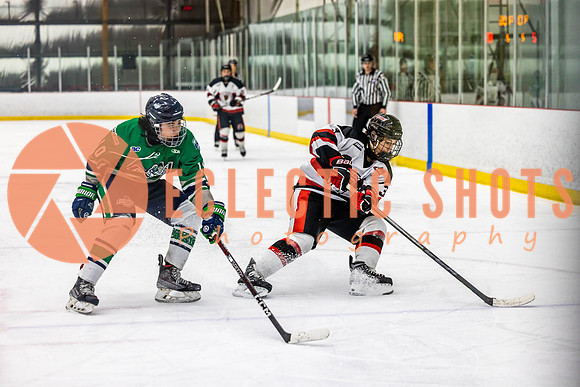 2022.11.11CalBisons-FVTBirds-4114