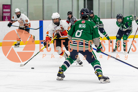 2022.11.09CalFlames-FVTBirds-0409