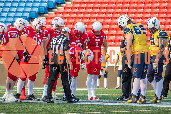 CalgaryColts-2425