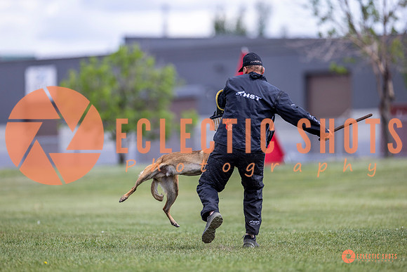 2025-K9Force-MayExams-8529