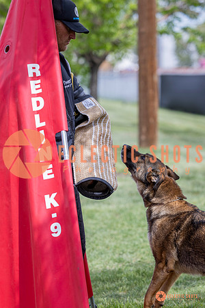 2025-K9Force-MayExams-6353