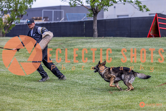 2025-K9Force-MayExams-6925