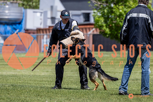 2025-K9Force-MayExams-7284