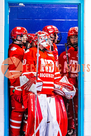 2022.11.11VWGiants-NDHounds-4205