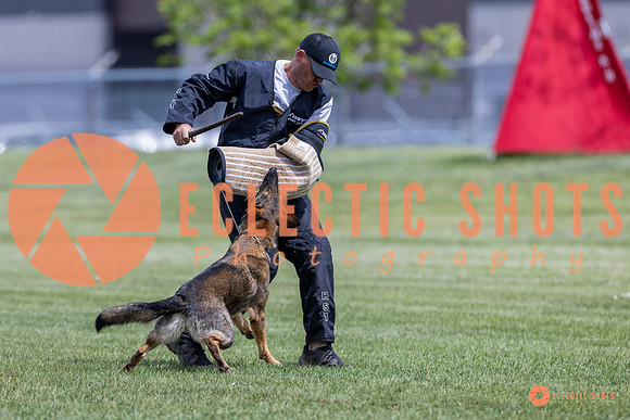 2025-K9Force-MayExams-7362