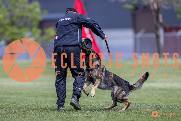 2025-K9Force-MayExams-7793