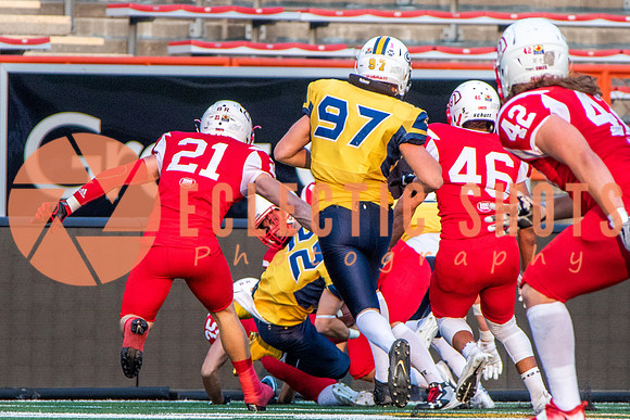 CalgaryColts-2644