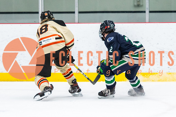 RMC2021-11-12-LloydBobcats-FVT-Birds-6089