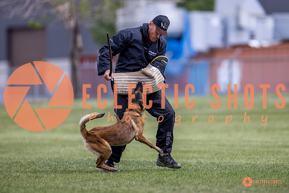2025-K9Force-MayExams-8568