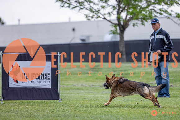 2025-K9Force-MayExams-5456