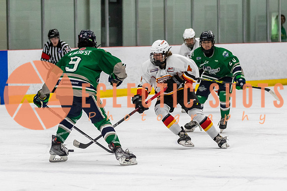 2022.11.09CalFlames-FVTBirds-0385