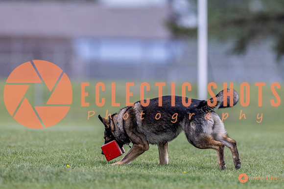 2025-K9Force-MayExams-6615