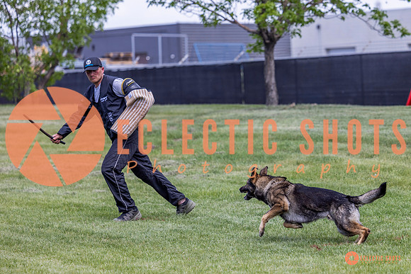 2025-K9Force-MayExams-6926