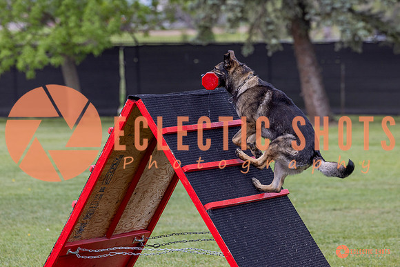 2025-K9Force-MayExams-5936