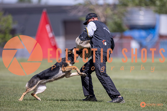 2025-K9Force-MayExams-8109