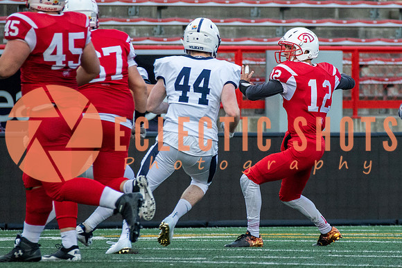 CalgaryColts2018-1125