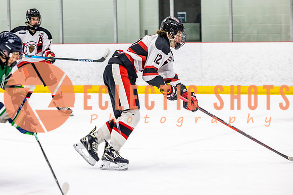 2022.11.11CalBisons-FVTBirds-3958