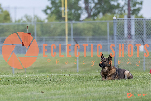 2025-K9Force-MayExams-5575