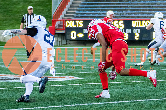 CalgaryColts2018-1189
